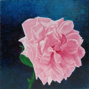 Rose - I